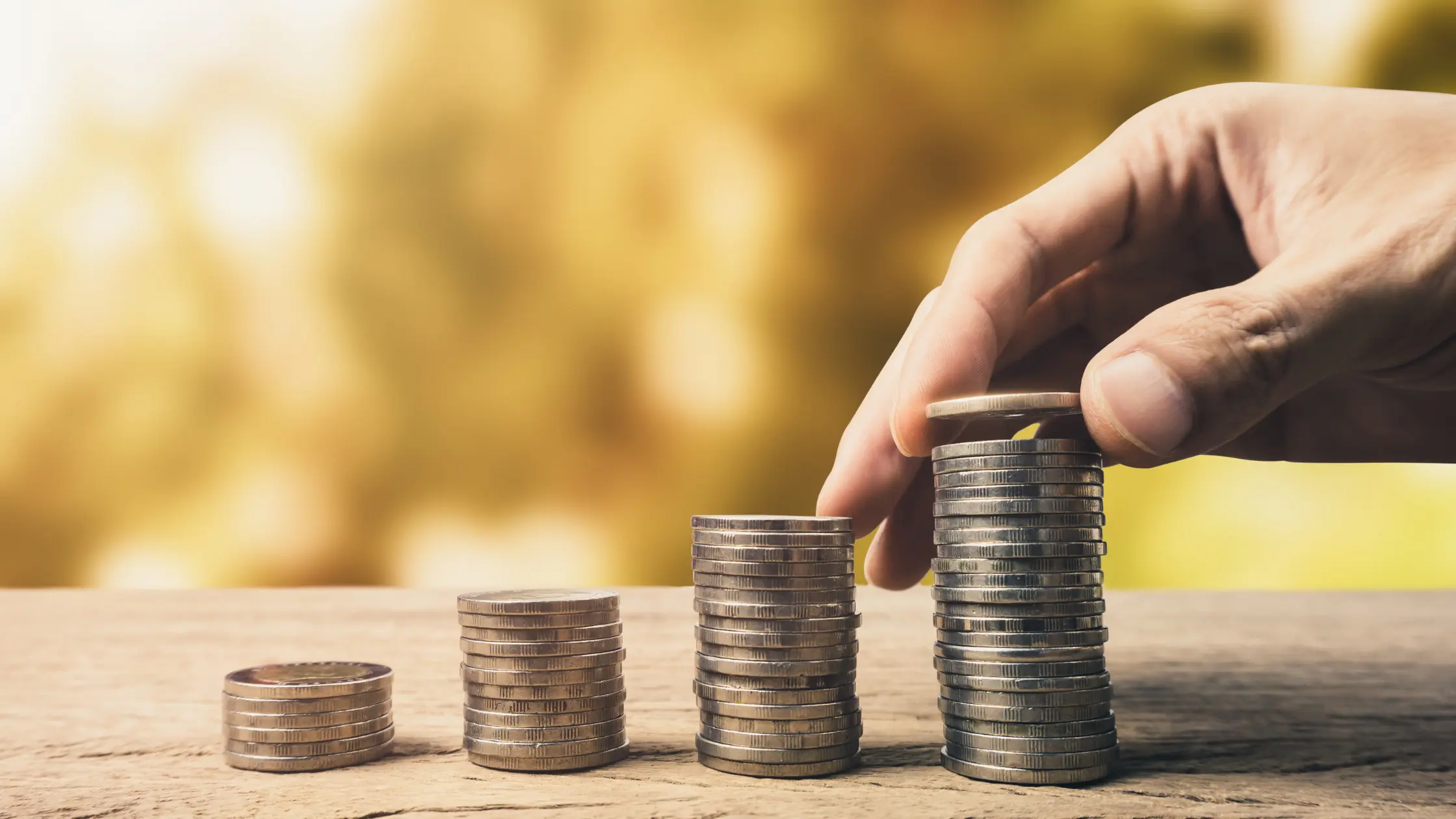 Common Fees and Contract Terms